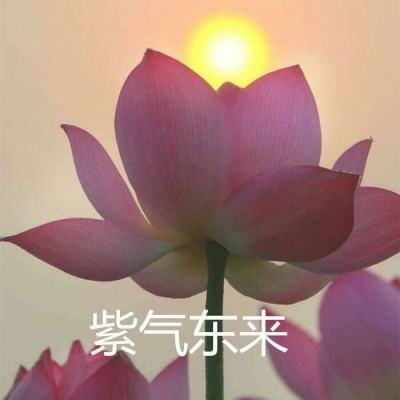 神喻剑灵风云录内购破解版下载